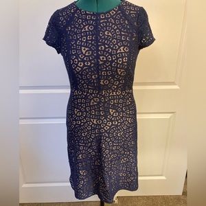 Loft navy blue lace dress with sleeves, size 8